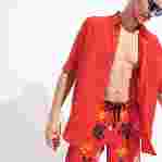 صورة Erkek Okorise Ronde des Tortues Multicolores Mayo