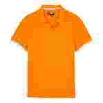 صورة Erkek Palatin Polo