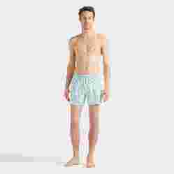 صورة Erkek Micro Ronde Des Tortues Moorise Mayo