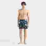 صورة Erkek Tortues Multicolores Mahina Mayo