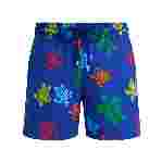 صورة Erkek Tortues Multicolores Moorise Mayo